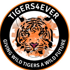 Tigers4Ever