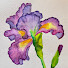 Ytqi5PZC0BU-channel-avatar-Nancy the Artist