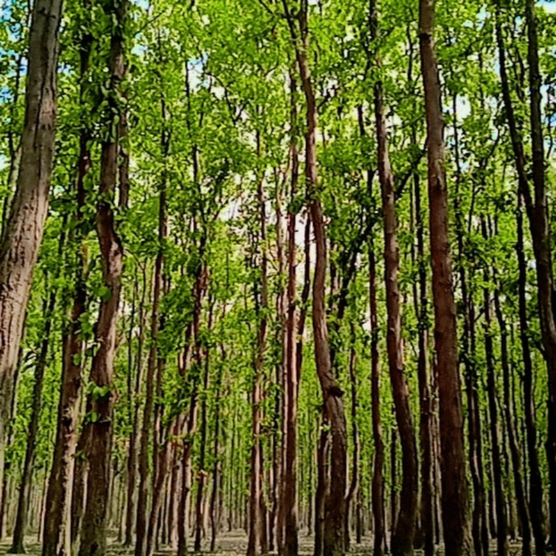 Hire AI  magic video  — AI & Machine Learning (Explainers, Demos) YouTube creator for sponsorships