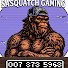 SZ7J_7PmdBI-channel-avatar-Sasquatch Gaming