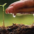 QP9-hPsTmRs-channel-avatar-Plant Love