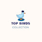 Top Birds Collection logo