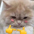 u4Bn42hkewU-channel-avatar-Phel0nysl@Y