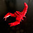 @inezeaton Avatar