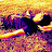 @Fndano's avatar