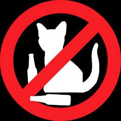 Drunk Cat