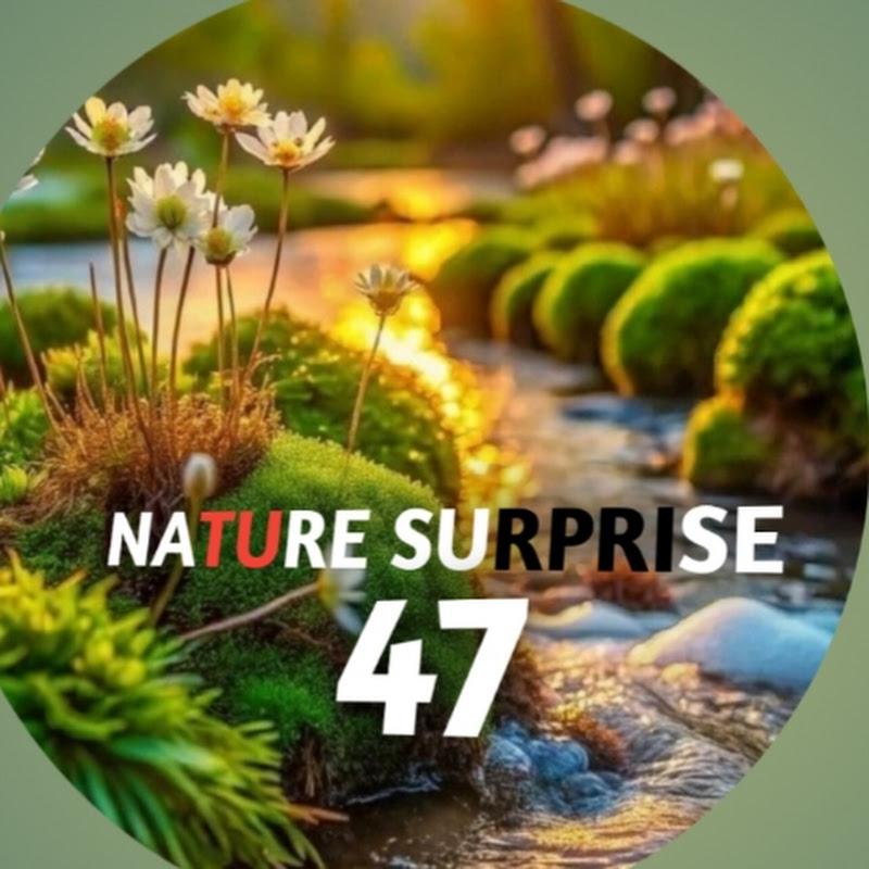 Nature Surprise 47