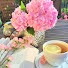 nej888dNBeY-channel-avatar-Pastel Garden
