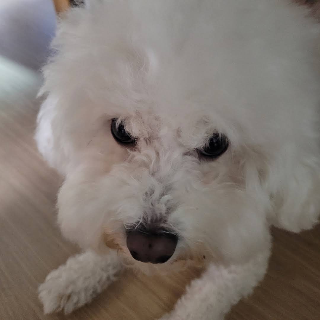 Post from Sorry