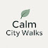 qMt9H1vrNHQ-channel-avatar-Calm City walks