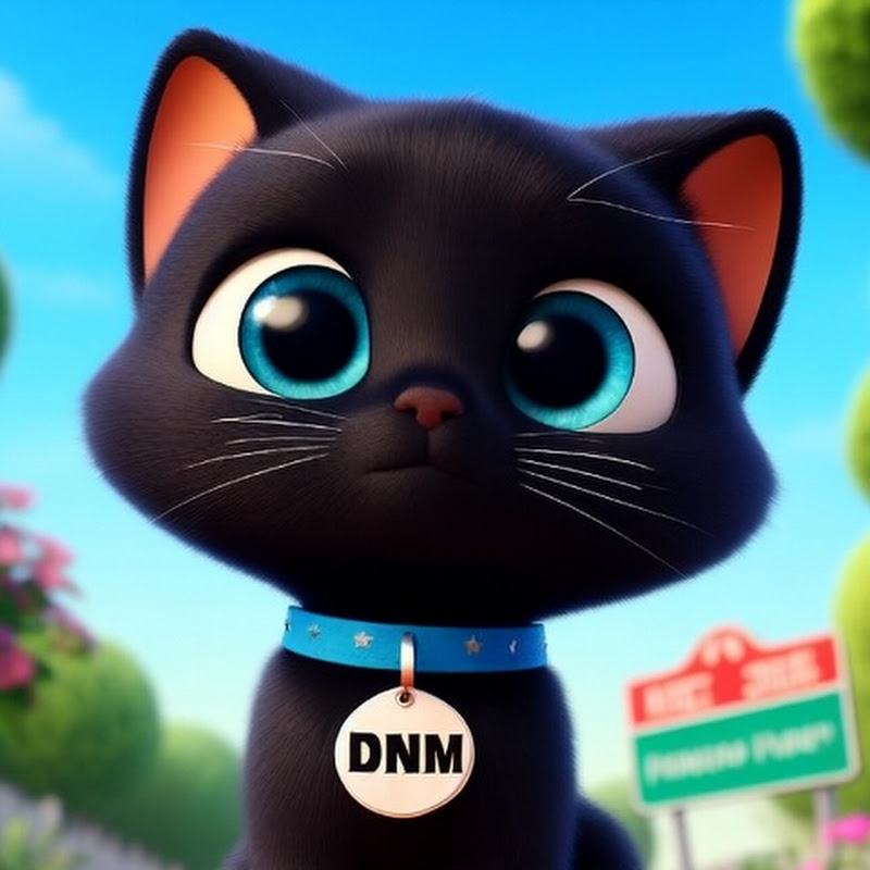 🌟 ¡DNAM El Gatito! 🌟