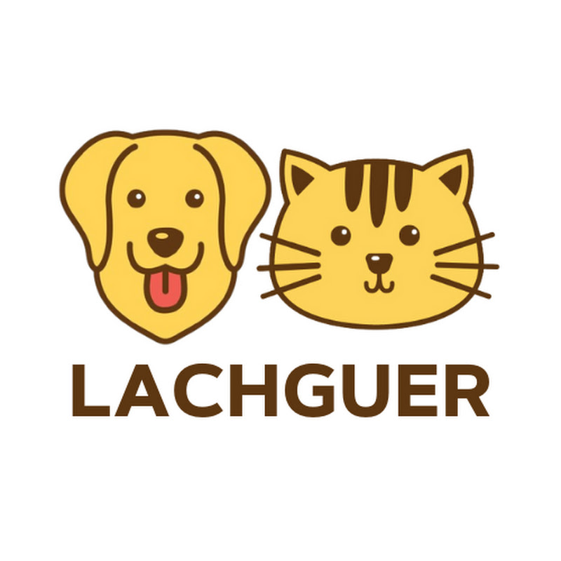 Lachguer Pets