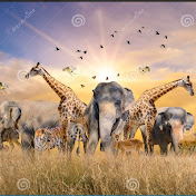 Wild life Hunt