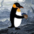 Ax43RUCOYd0-channel-avatar-Penguinwithcards