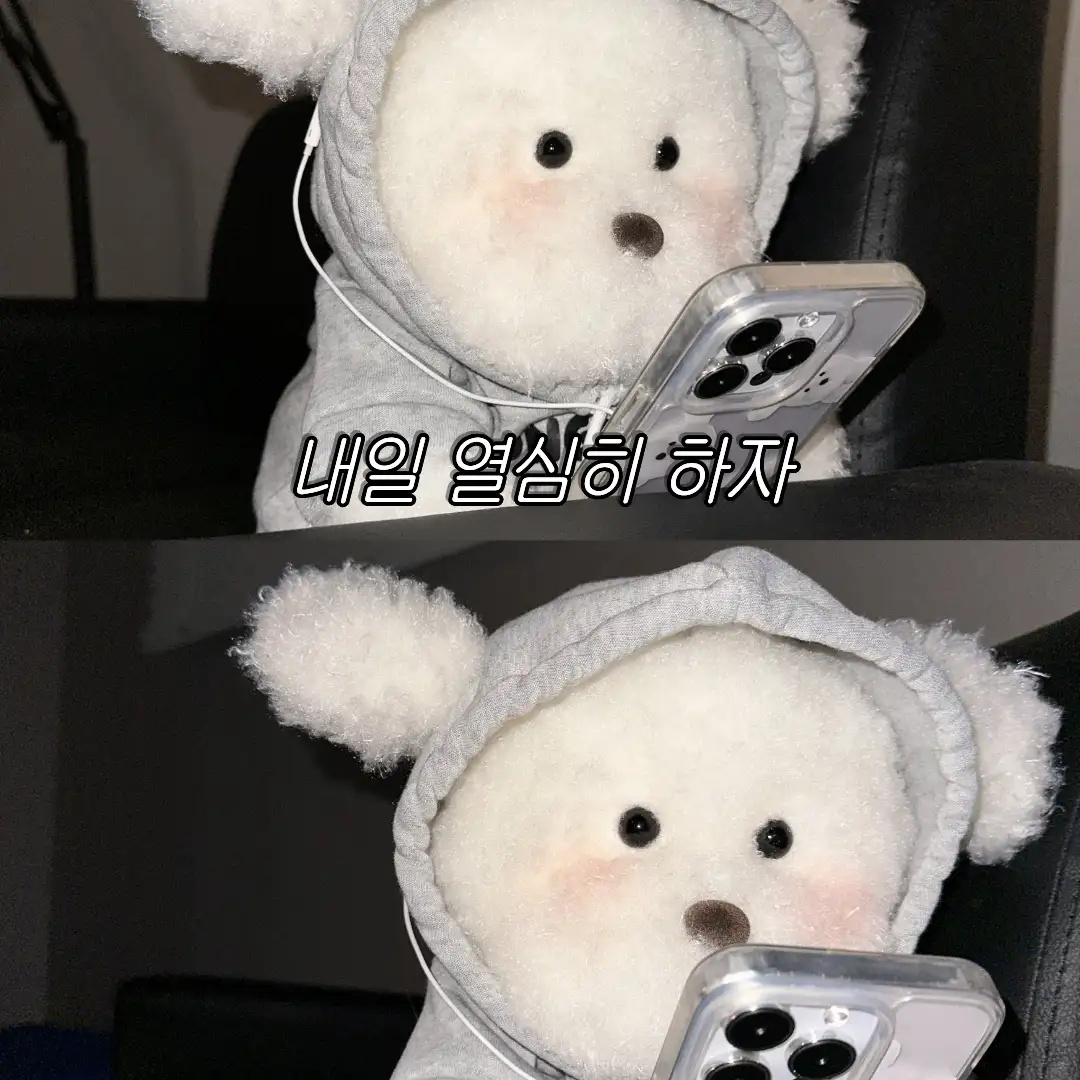 커뮤니티 첨부 이미지
