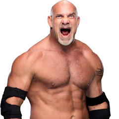 Goldberg Fights
