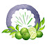 TCD6nUc-edQ-channel-avatar-Key Lime Ink