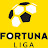 Fortuna Liga Sestřihy