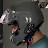 @MancMoto Avatar