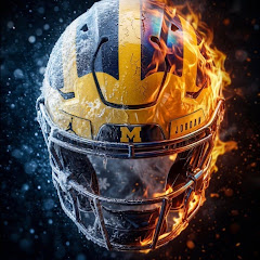 Nfl_football14