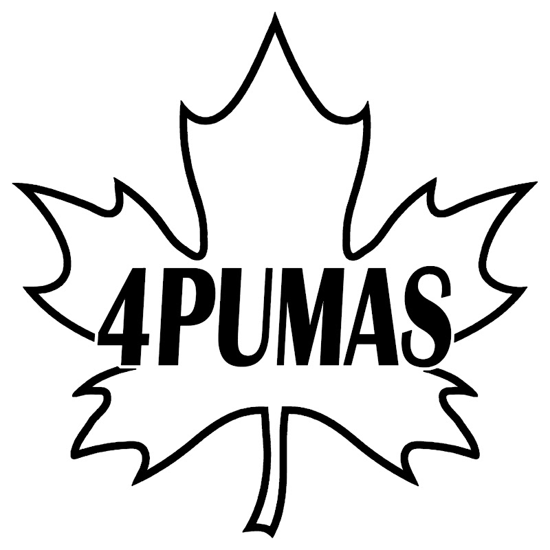 4PUMAS — ЧПУ: изделия, обучение, комьюнити