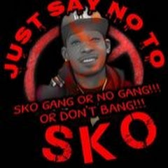 Just Say No 2 SKO Avatar