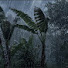 NSJkxL206V4-channel-avatar-Peaceful Night Sleep