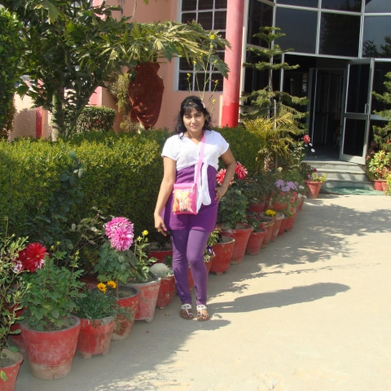 Radhika Fashion