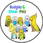Budgies & Other Pets logo