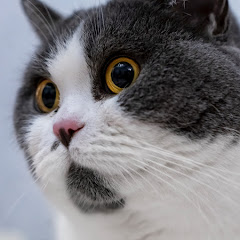 可能线性アイコン画像