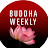 Buddha Weekly