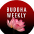 Buddha Weekly