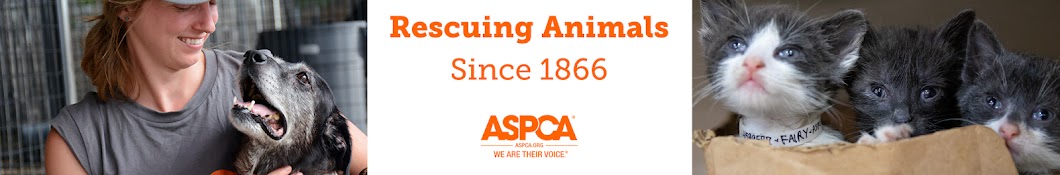 ASPCA ইউটিউব চ্যানেল অ্যাভাটার