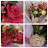 @hs-op7th가인