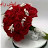 @اسماءحراز
