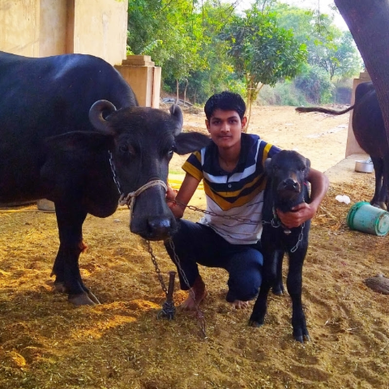 ASHISH MEENA FARM  icon
