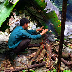 Forest life skills DT Image Thumbnail