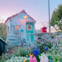 Profile Picture of 猫とちいさなおうち暮らし