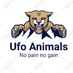 UFO ANIMALS Net Worth