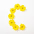 5VjSanGiAkQ-channel-avatar-Care Free Living