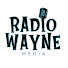 wghFLSZ1zs0-channel-avatar-Wayne Cordova