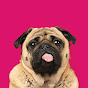 The Pet Collective Avatar