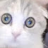 2wimBwWLG3I-channel-avatar-BeMyBoo