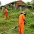 G1itU9yRFXQ-channel-avatar-Gardening The Homes