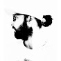 Laravel Jutsu profile image
