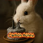 Carbon Bunny | Conejo de Carbon logo