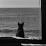 yqxQIlsGH7s-channel-avatar-XxxX