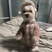 そあまるฅ