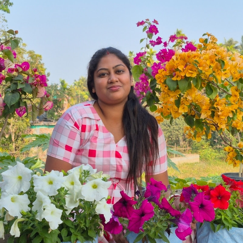 Growing Garden 