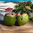 @Starnberger01 Avatar